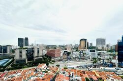 Spottiswoode Suites (D2), Apartment #461791541